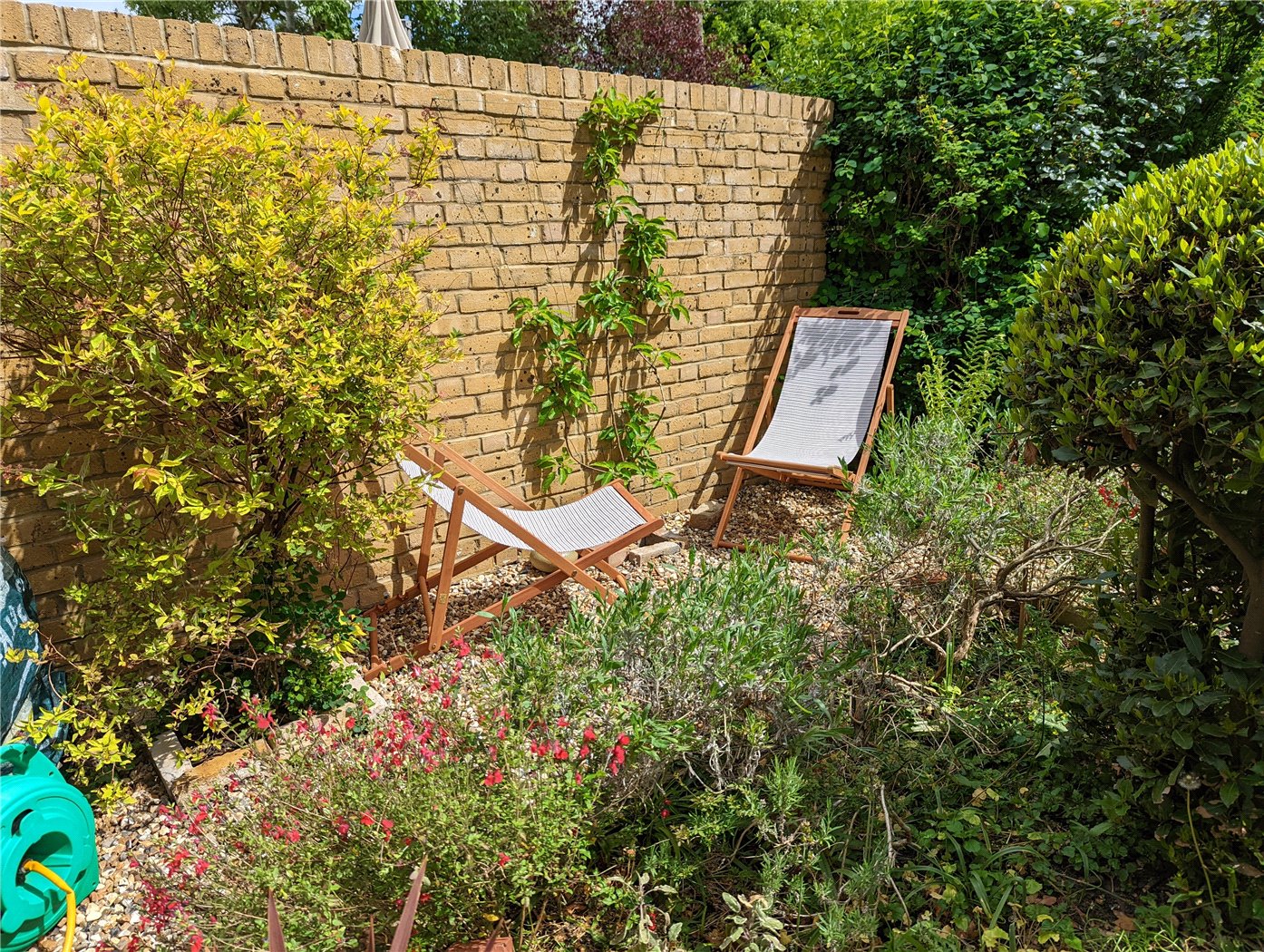 Garden Part Four