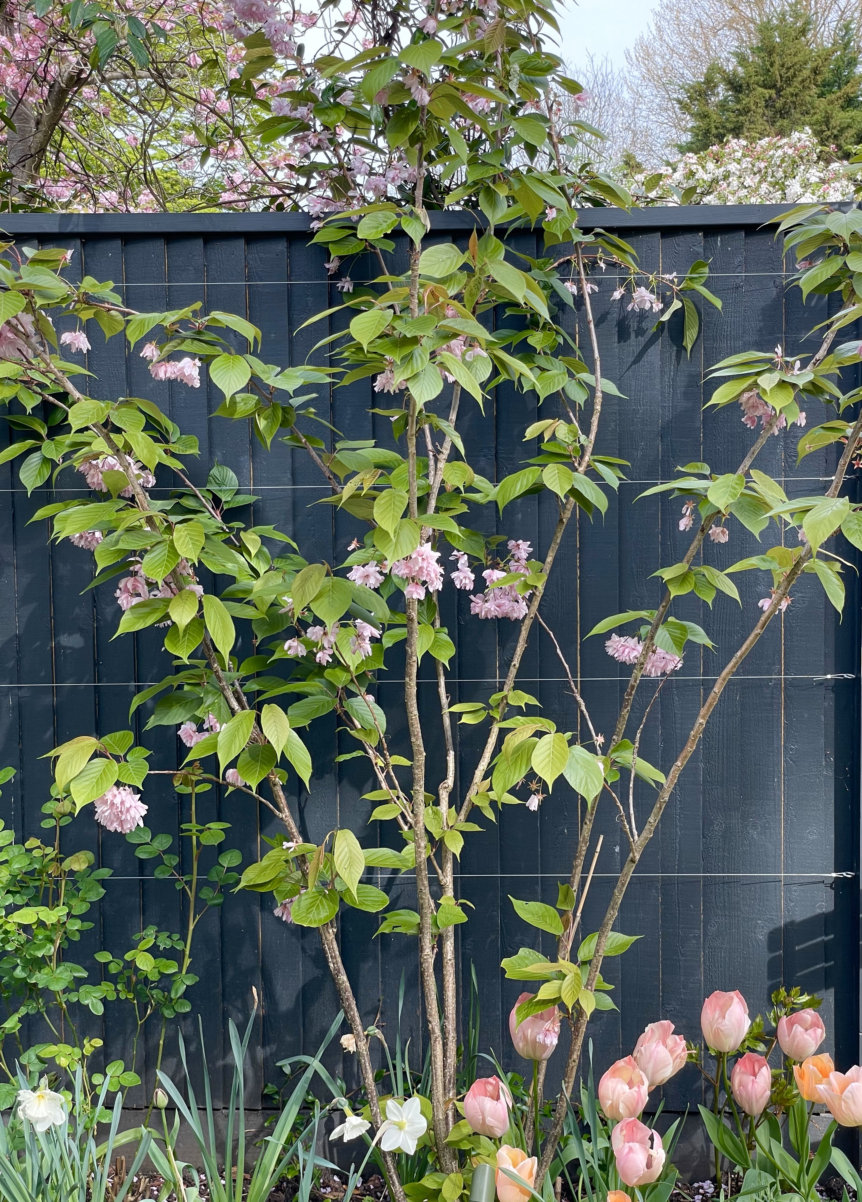 5-joanna-archer-garden-design