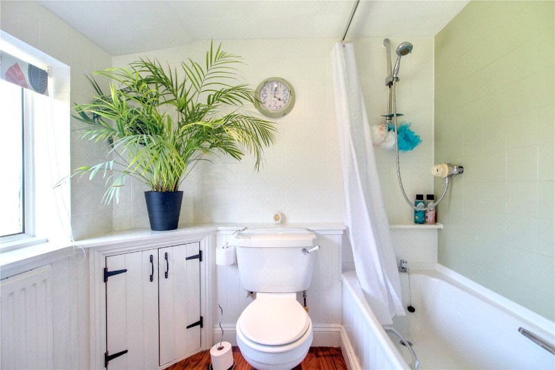 Green Road, Hales Green, Hales, Norwich, NR14