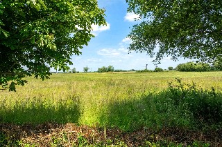 Eastgate, Deeping St. James, Peterborough, Lincolnshire, PE6