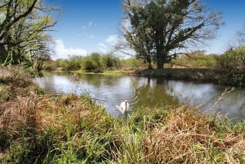 Wensum Valley Close, Hellesdon, Norwich, Norfolk, NR6