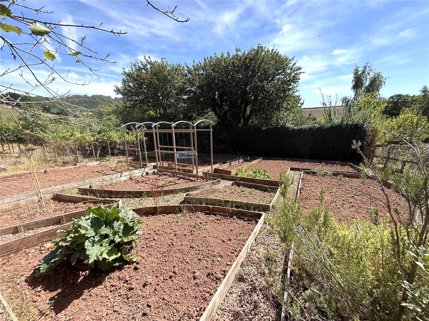 Veggie Patch