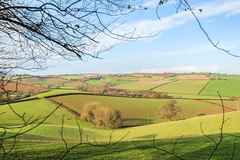 Crediton, Devon, EX17