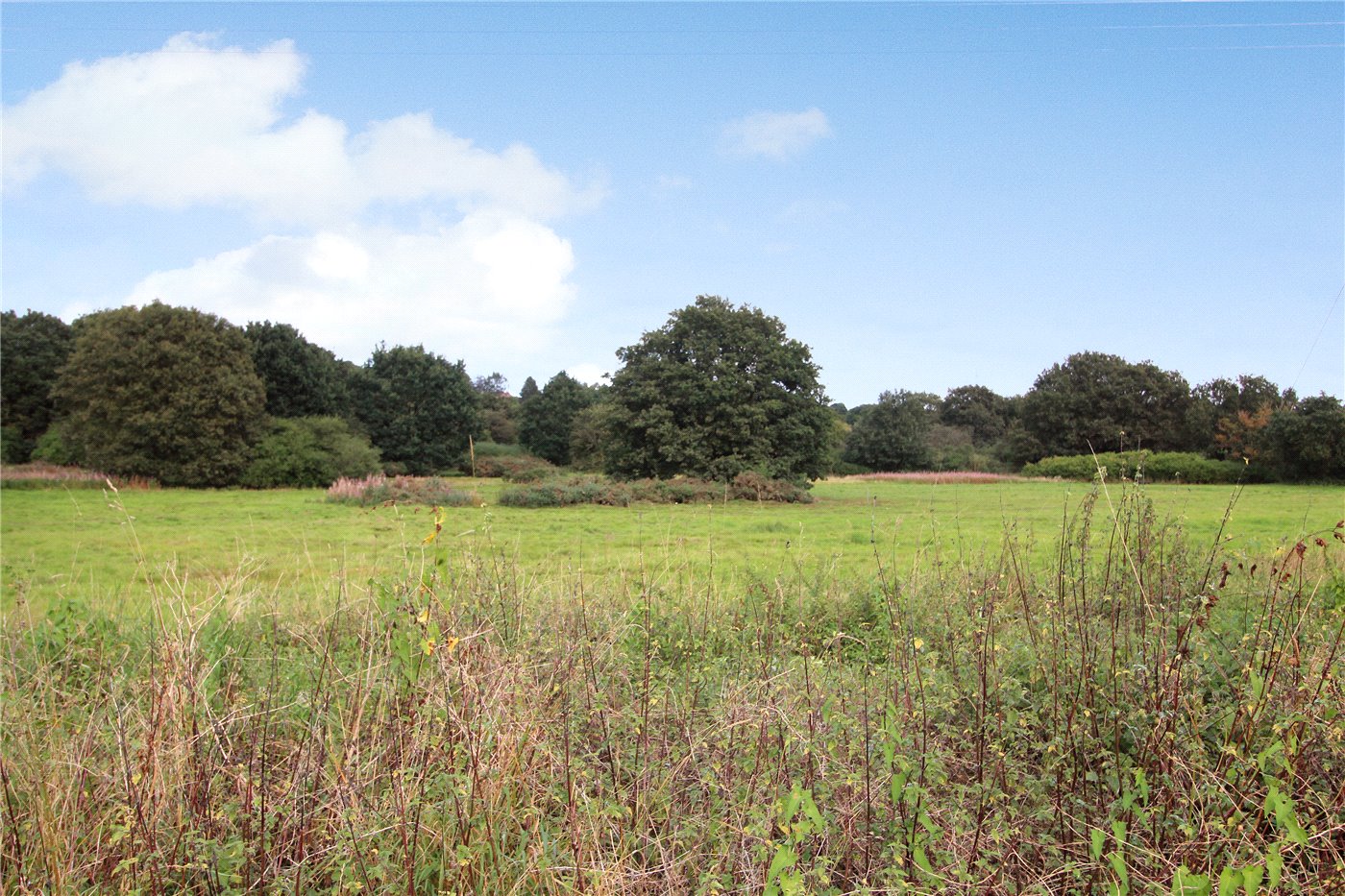 Outlook