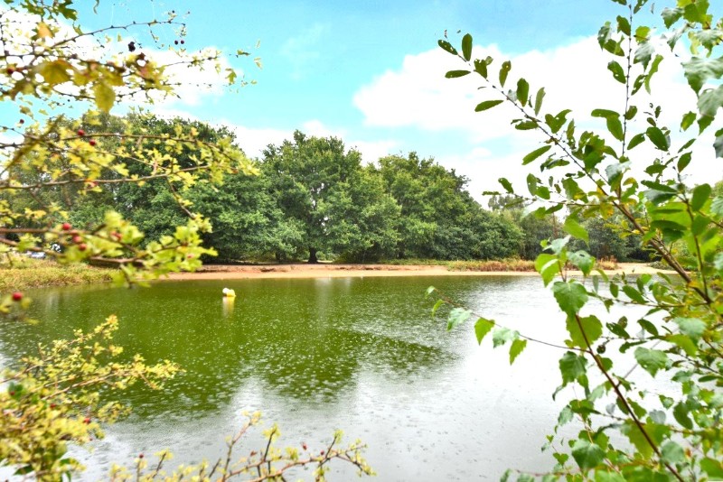 The Green, Burgh Heath, Tadworth, Surrey, KT20