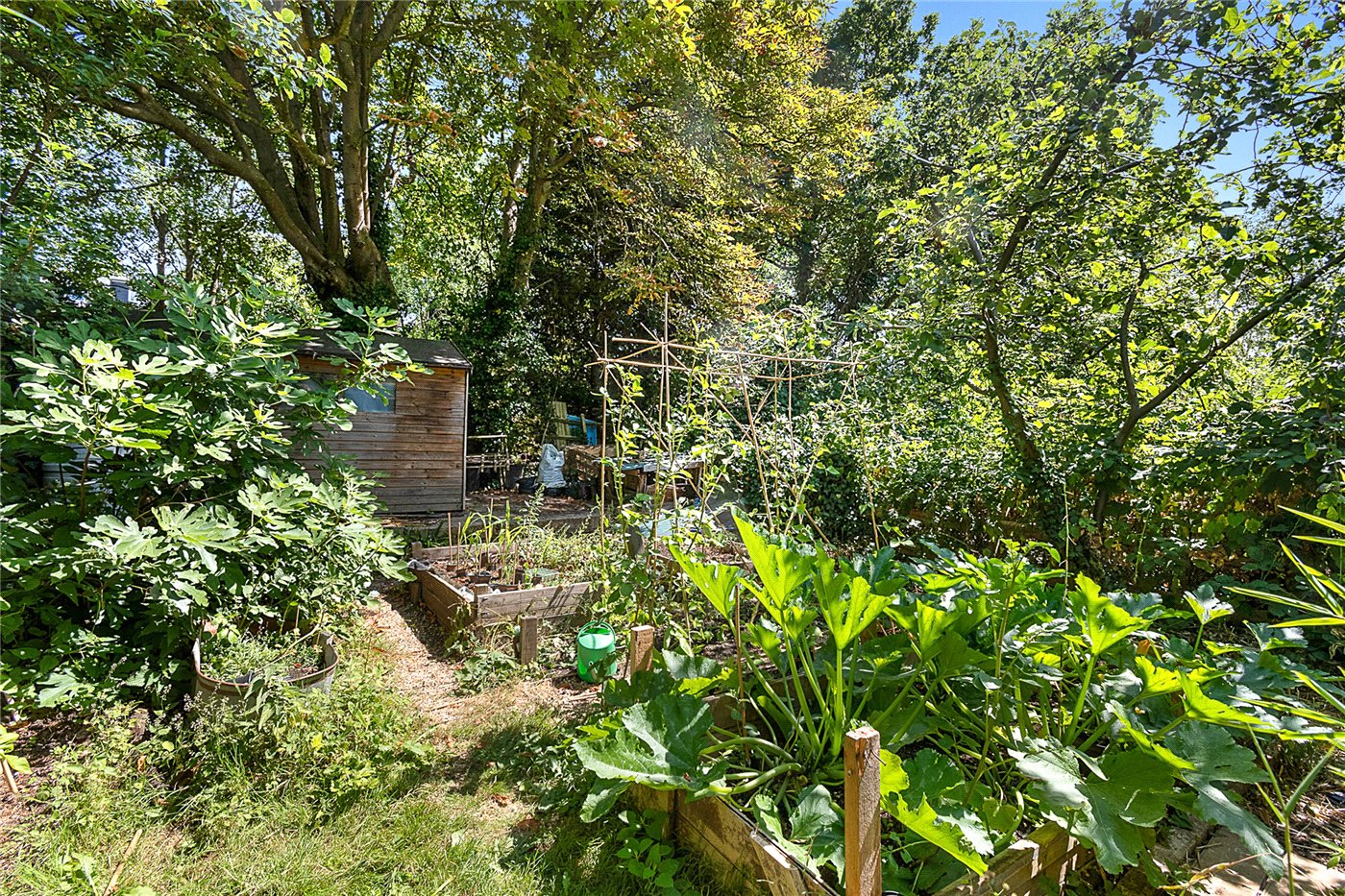 Garden