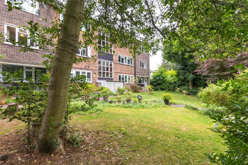 Fox Hill, London, SE19