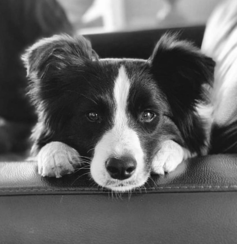 Myrtle 