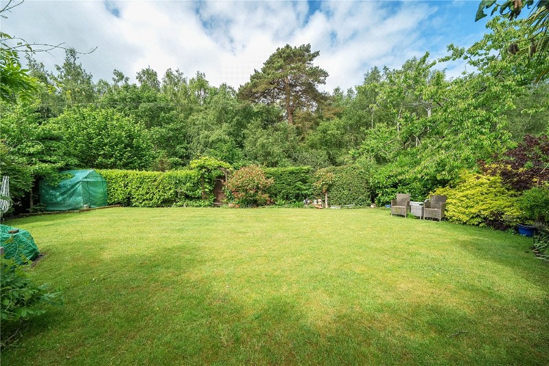 Back Lane, Bucks Horn Oak, Farnham, Hampshire, GU10