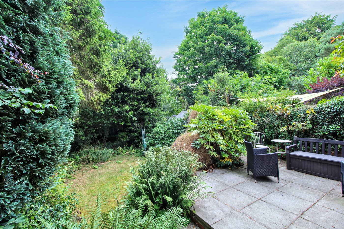 Garden
