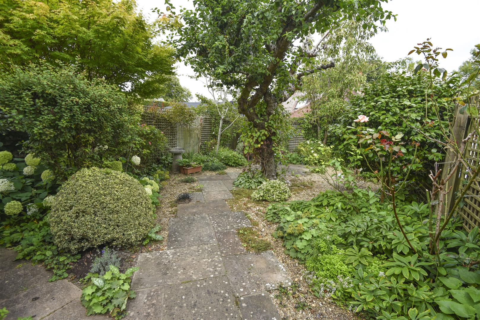 A GARDEN 1.JPG