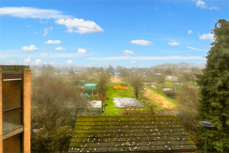 Pippin Green, Norwich, Norfolk, NR4