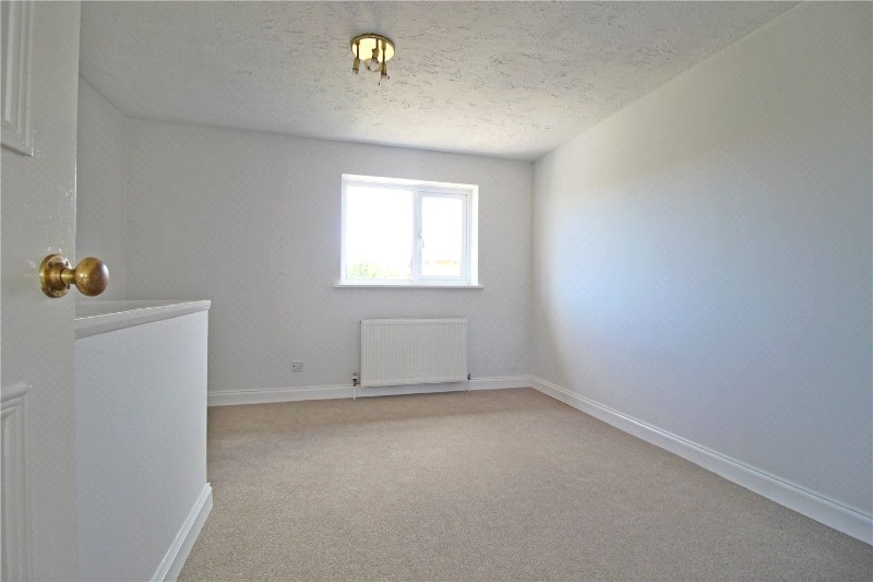 Foxgloves, Deeping St. James, Peterborough, Lincolnshire, PE6