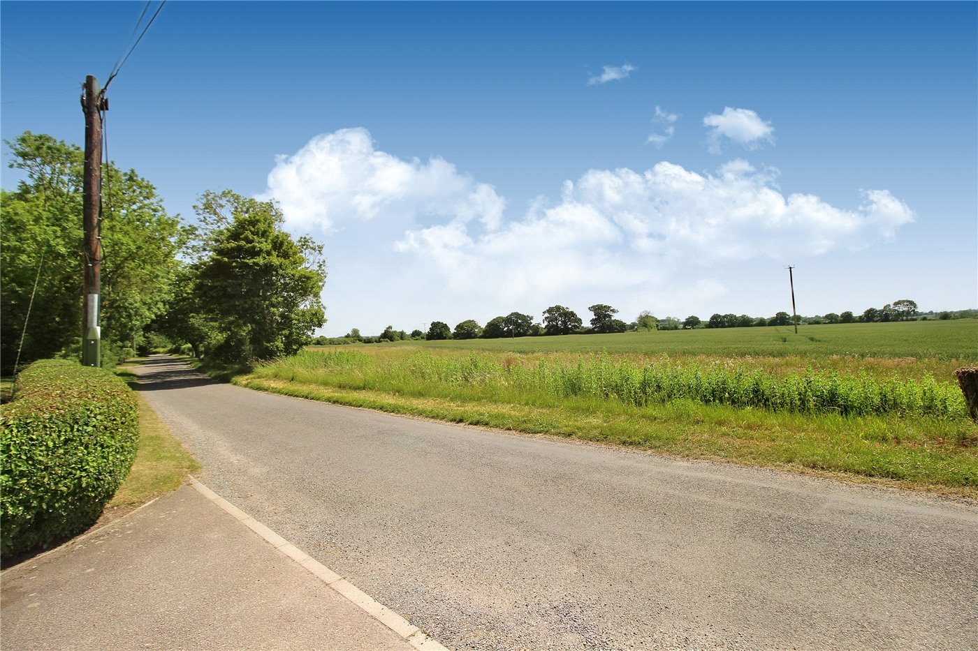 Field Views