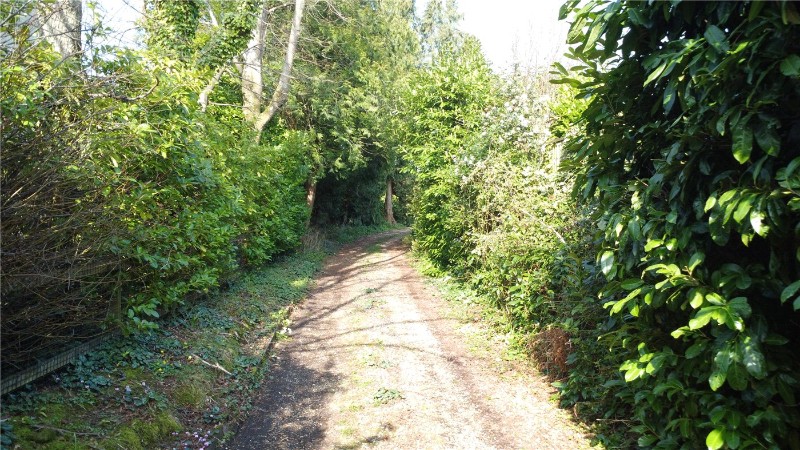 Winchester Hill, Romsey, Hampshire, SO51