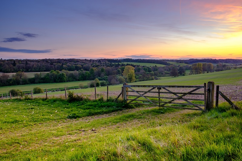 4_CHESS_VALLEY_WALK_OXFORDSHIRE