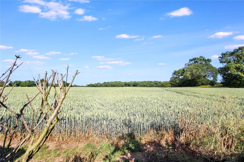 Norfolk Road, Wangford, Beccles, NR34