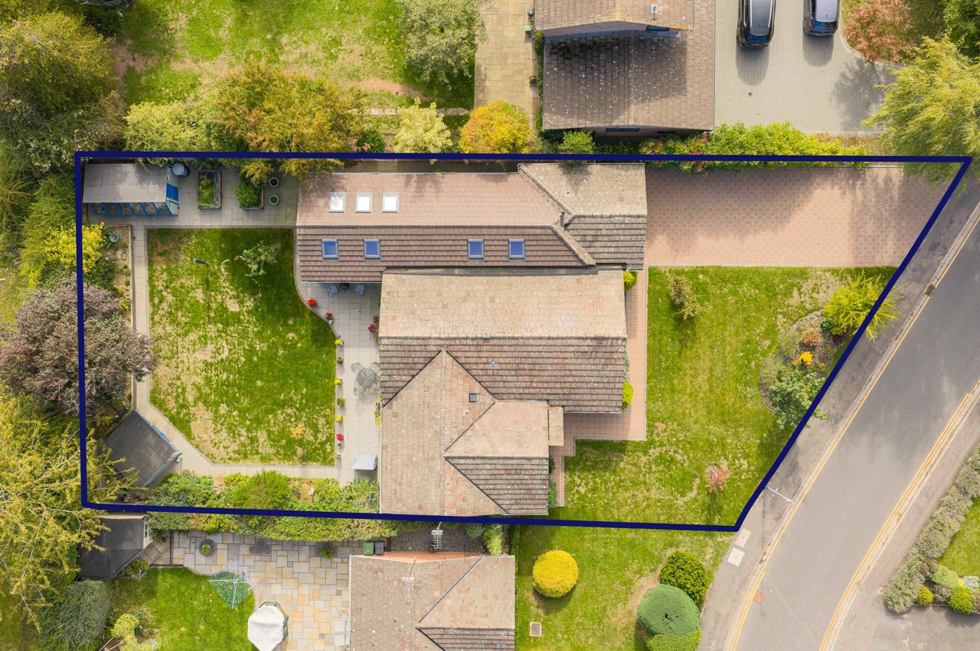 Birdseye