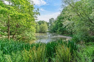 Arrowsmith Road, Canford Magna, Wimborne, Dorset, BH21