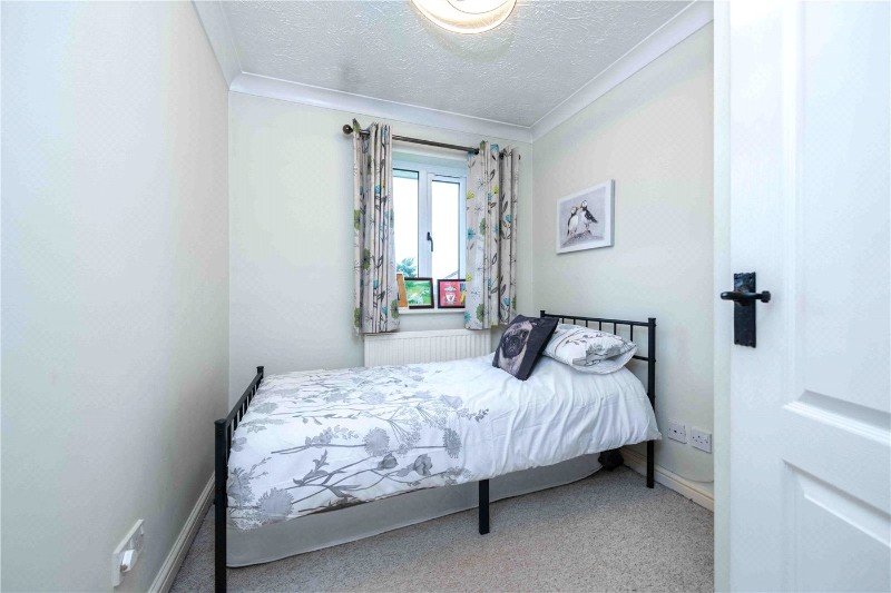 Primroses, Deeping St. James, Peterborough, Lincolnshire, PE6