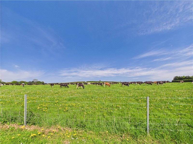 New Park Estate, Bridford, Exeter, Devon, EX6