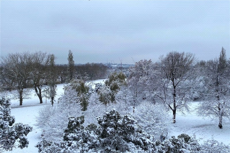 Apple Tree Road, London, N17