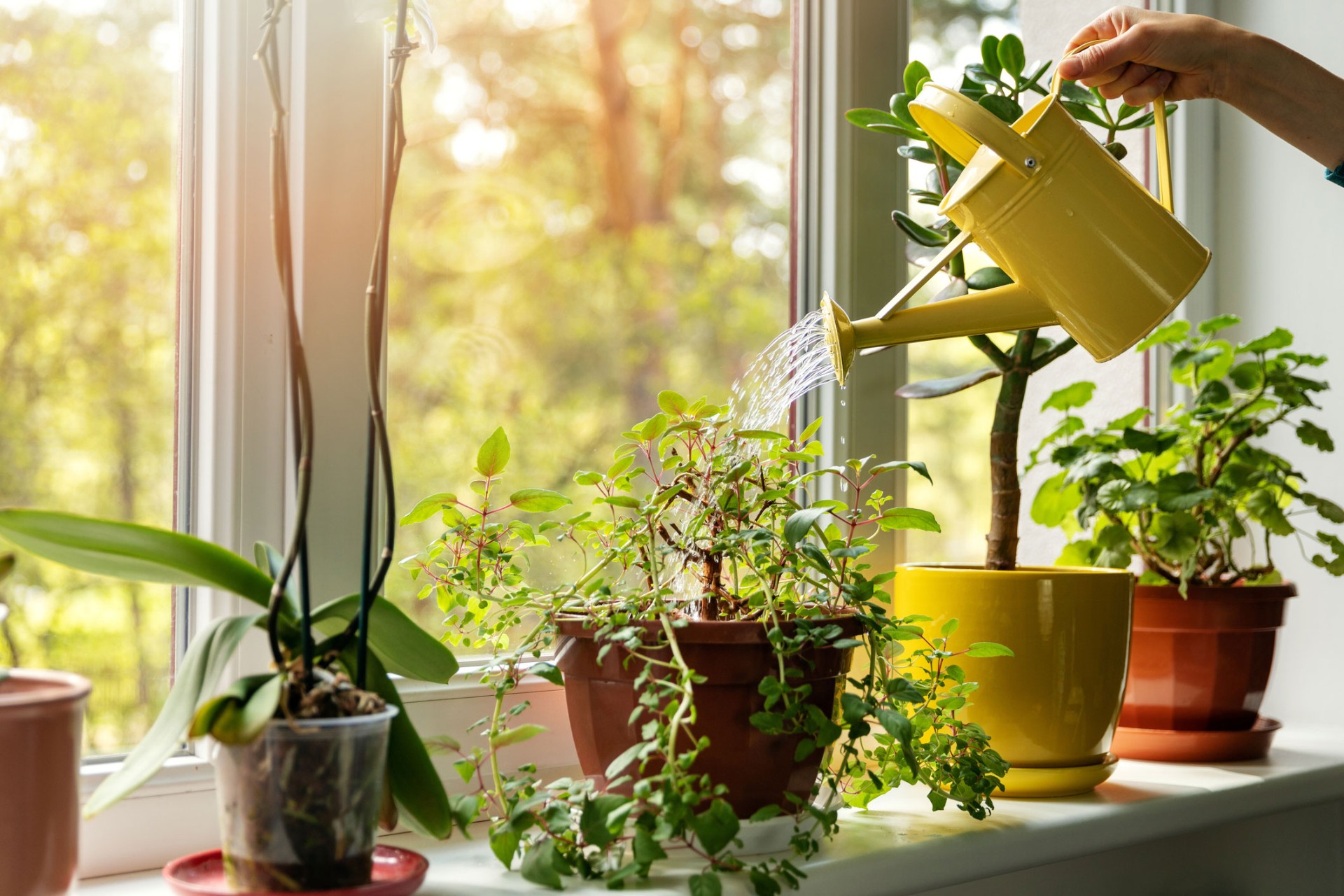 How to refresh your home for Spring