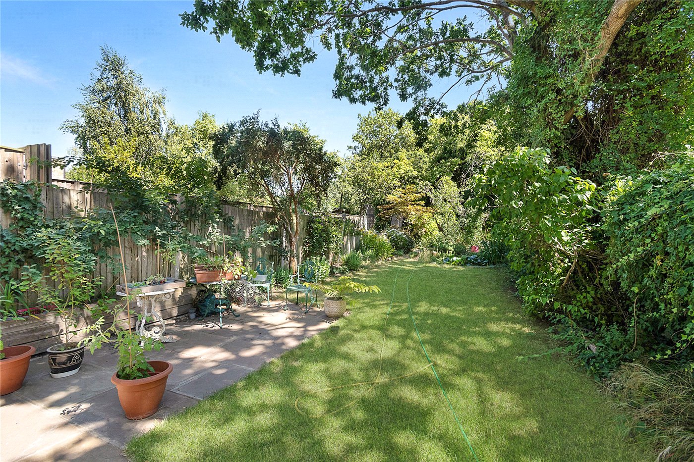 Garden