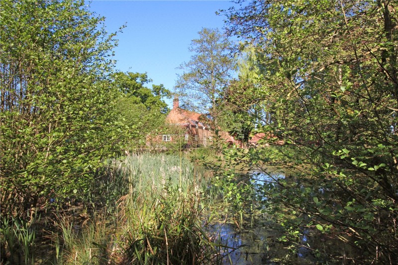 Newton Street, Newton St Faith, Norwich, Norfolk, NR10