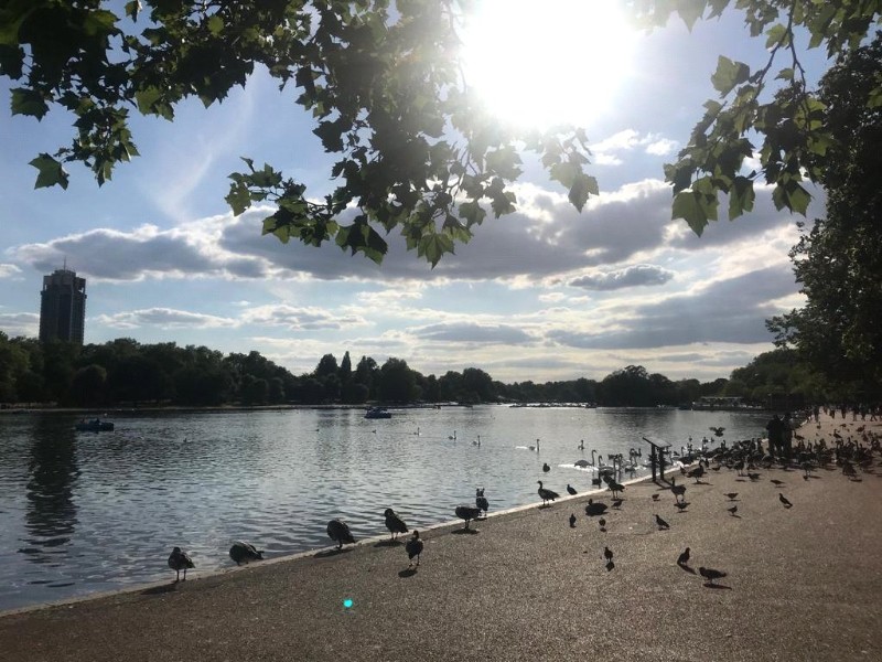 Hallfield Estate, Bayswater, W2