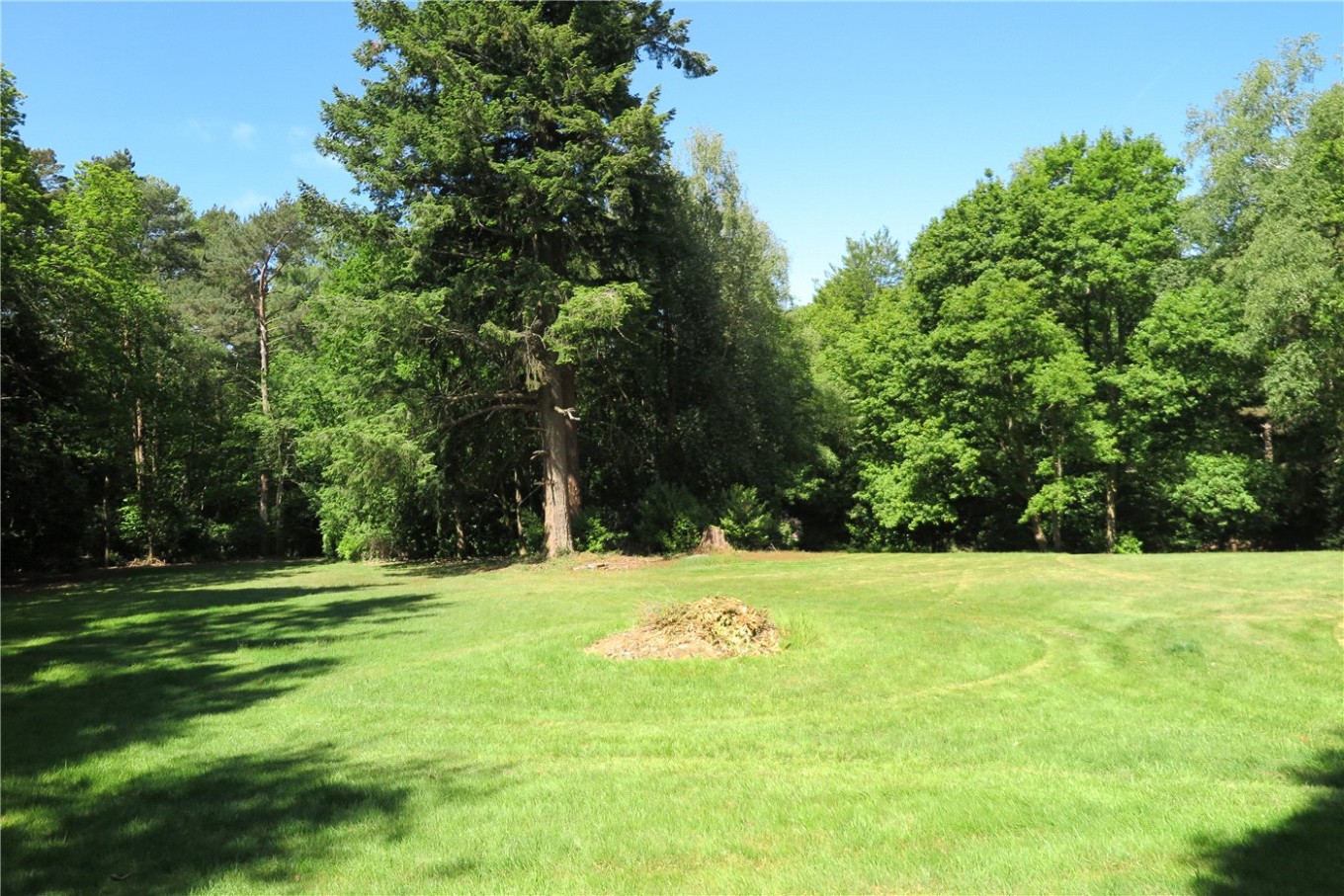 5 bedroom property for sale in Beech Hill House, Beech Hill Road