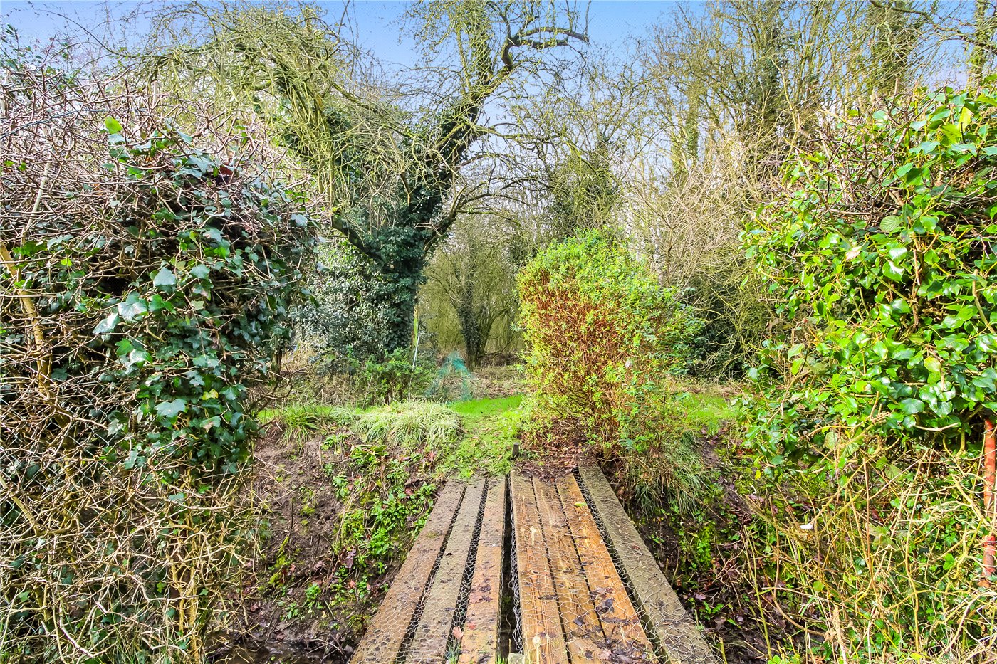 Woodland
