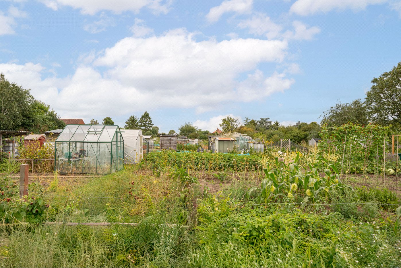 Allotments
