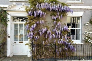 High Street, Rye, East Sussex, TN31