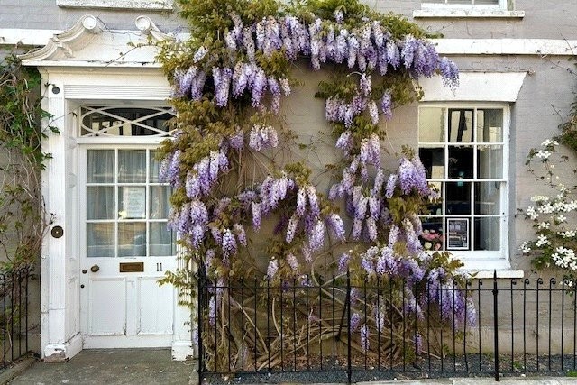 High Street, Rye, East Sussex, TN31