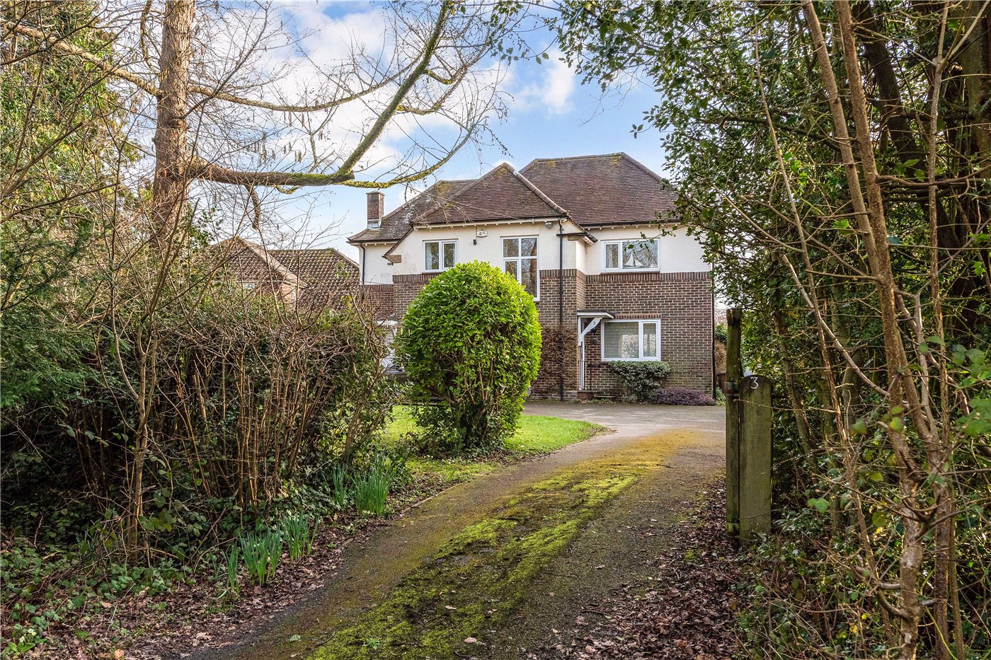 Bell Hill Ridge, Petersfield, Hampshire, GU32