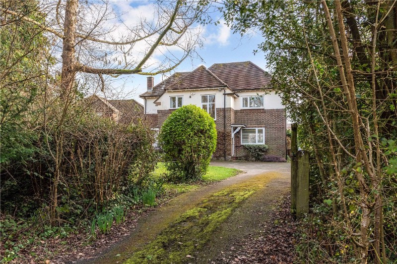Bell Hill Ridge, Petersfield, Hampshire, GU32