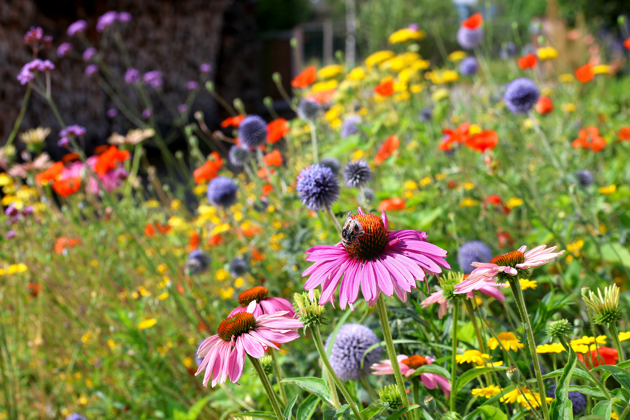 Gardens2