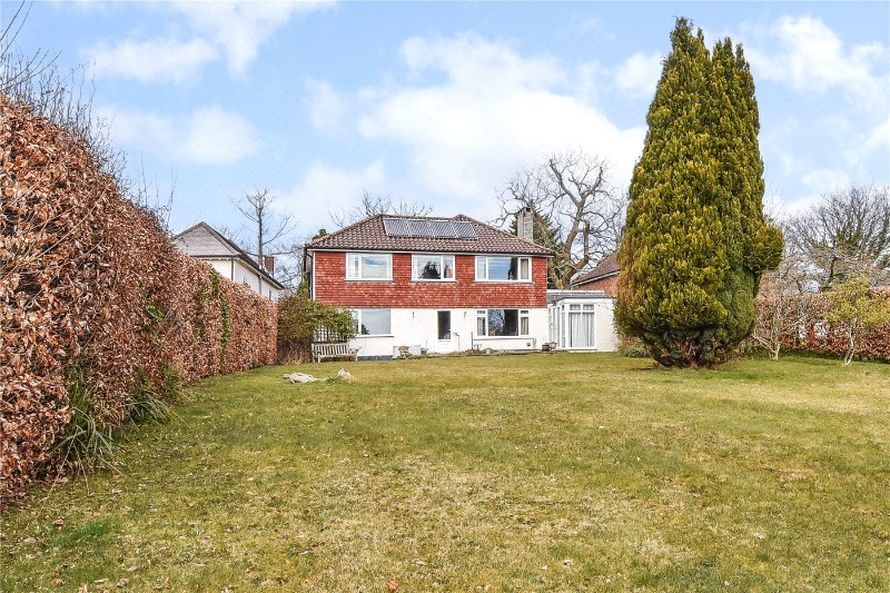 Bell Hill Ridge, Petersfield, Hampshire, GU32