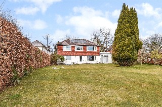 Bell Hill Ridge, Petersfield, Hampshire, GU32