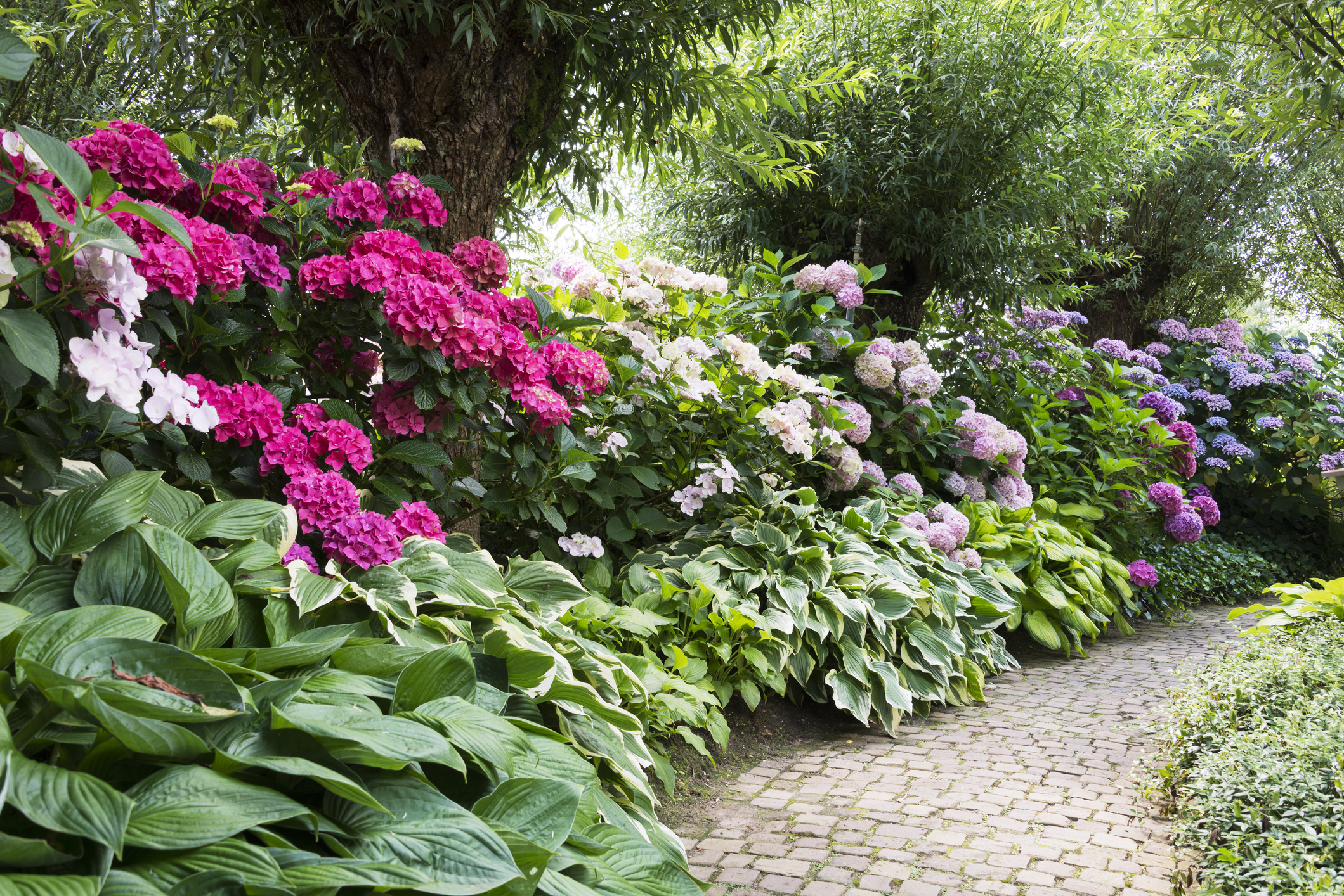 Garden-design_1
