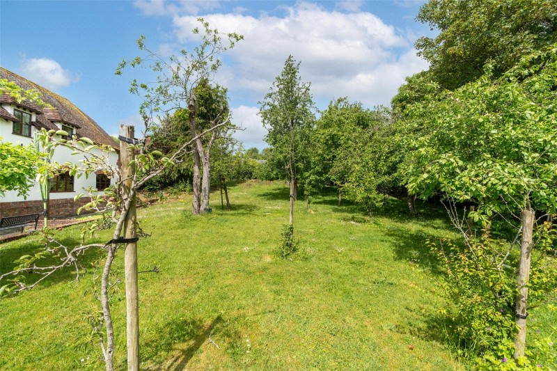 Lower Street, Witchampton, Wimborne, Dorset, BH21