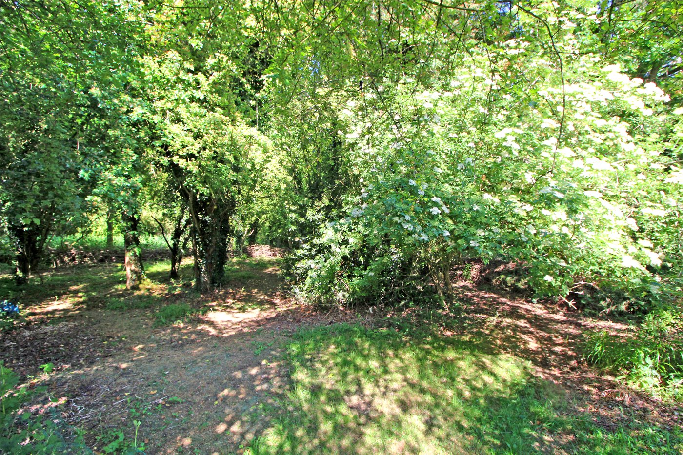 Woodland