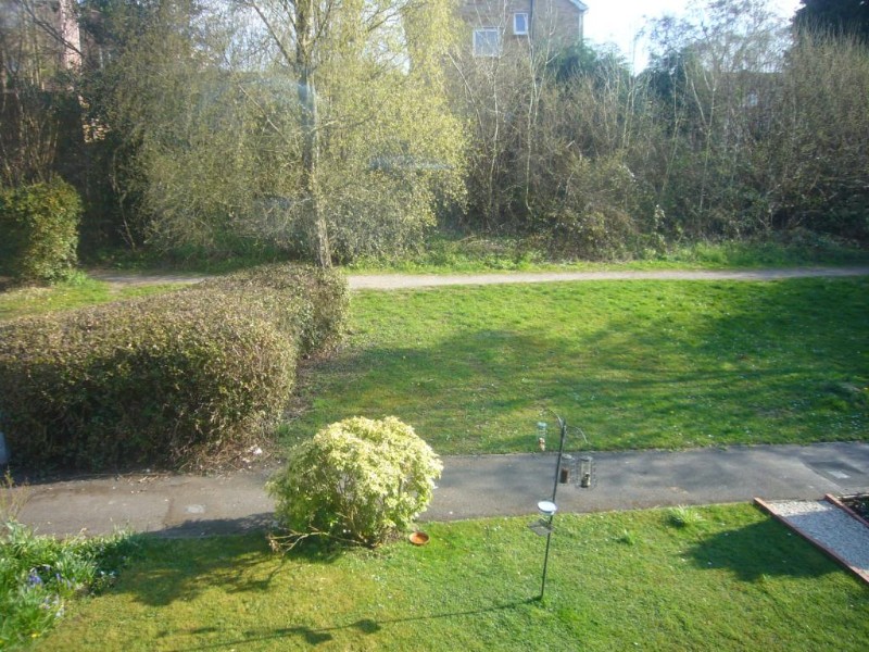 Seward Rise, Romsey, Hampshire, SO51