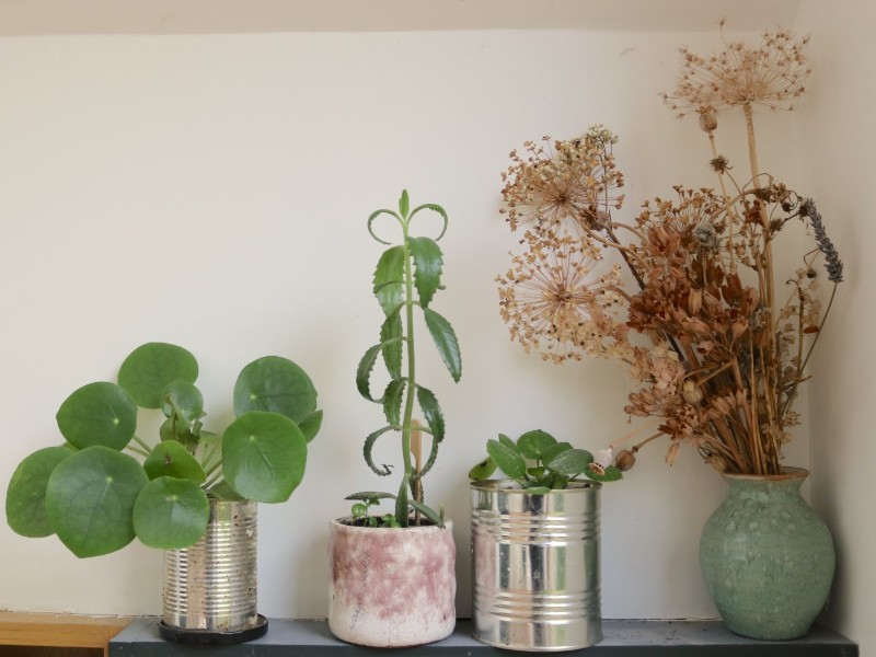 High Street, Frome, Somerset, BA11