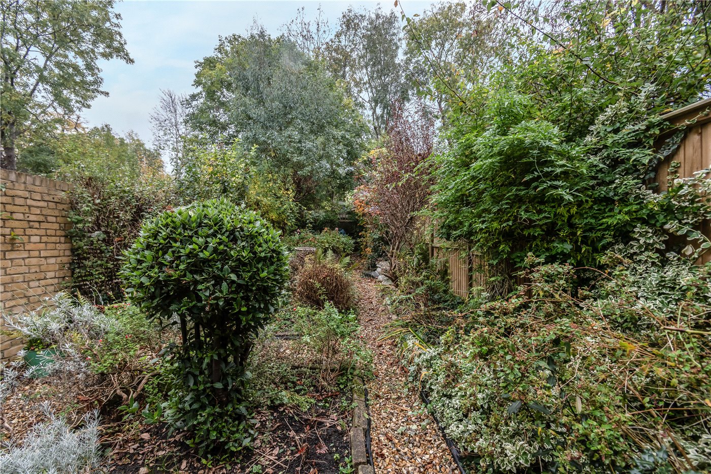 Garden Part One