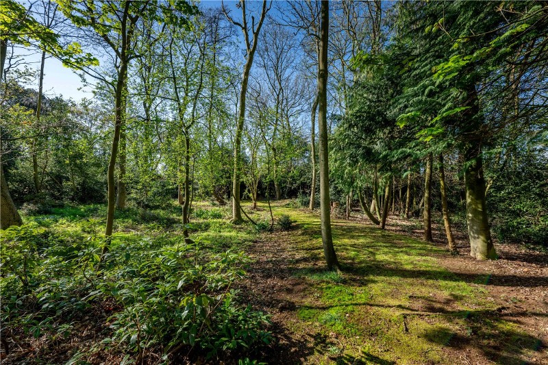 Long Road, Framingham Earl, Norwich, Norfolk, NR14