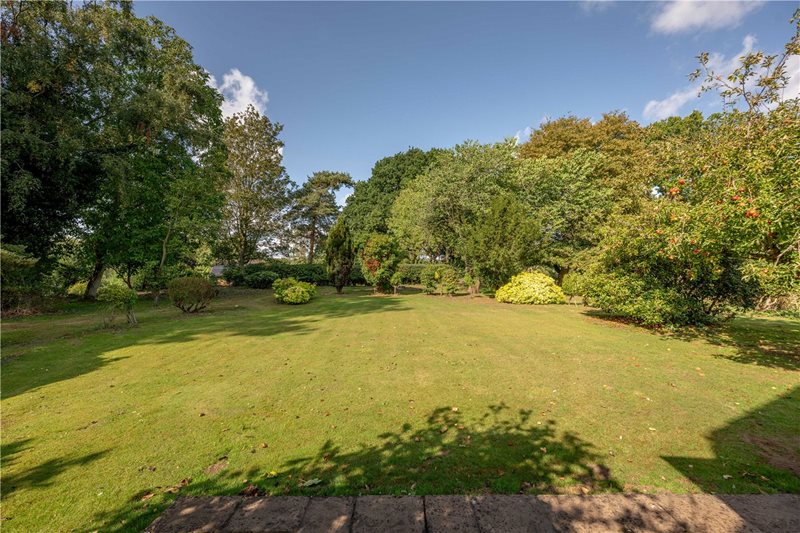 Walnut Hill, Surlingham, Norwich, Norfolk, NR14
