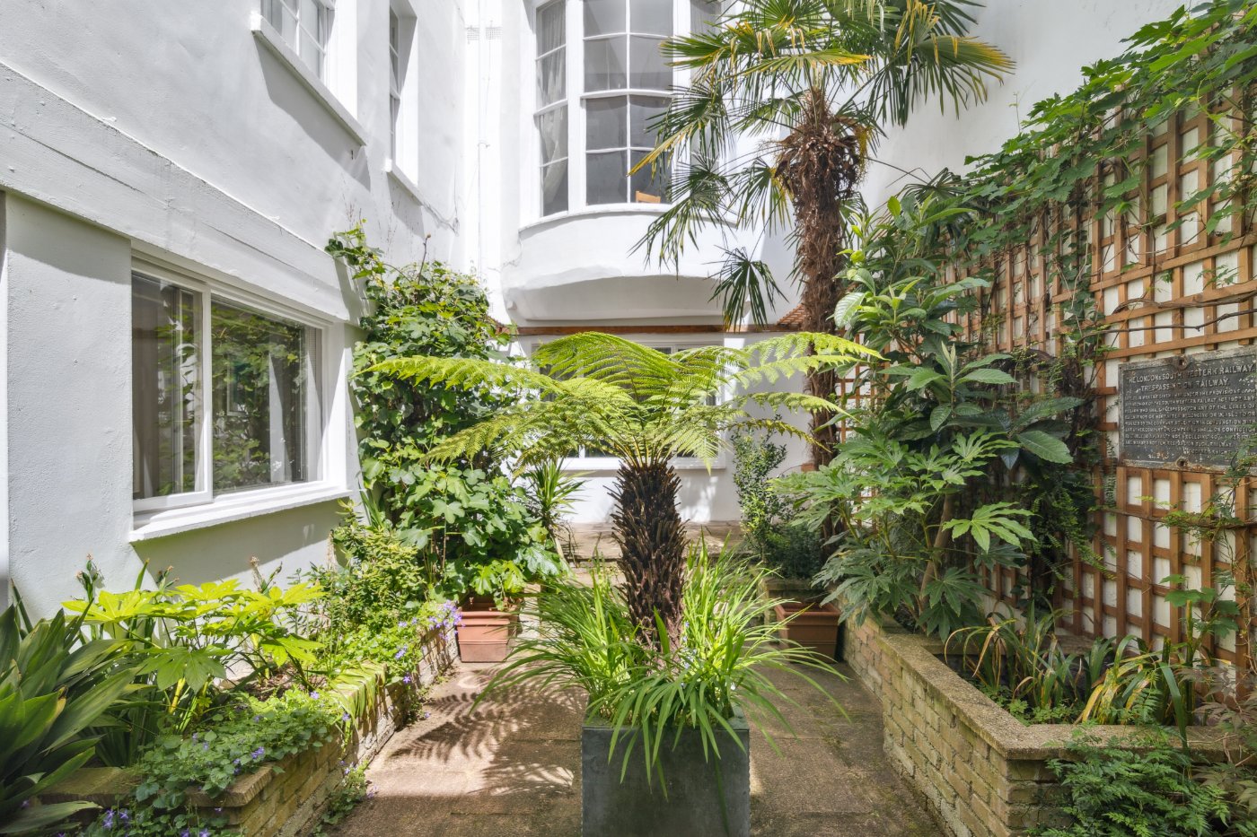 Urban Oasis