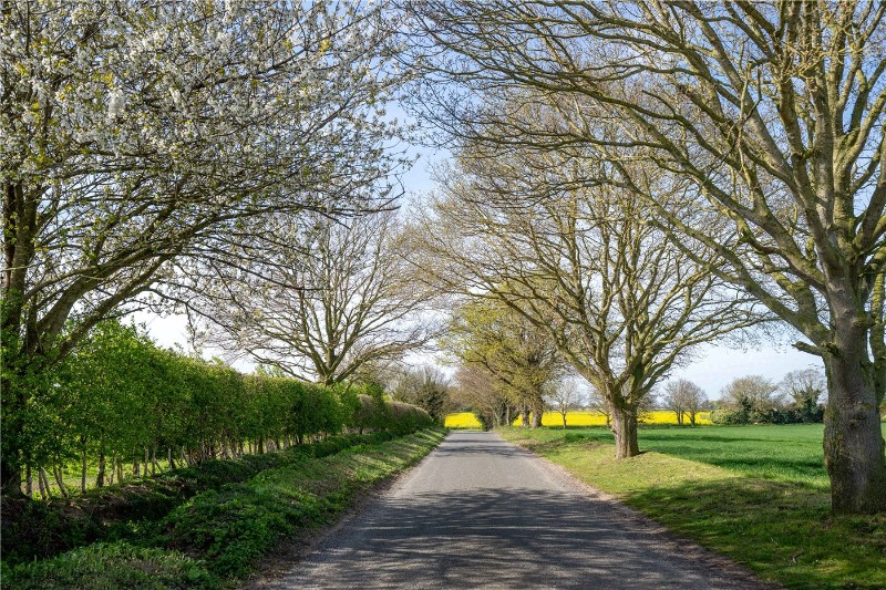Kittles Road, Moulton St. Mary, Norwich, Norfolk, NR13